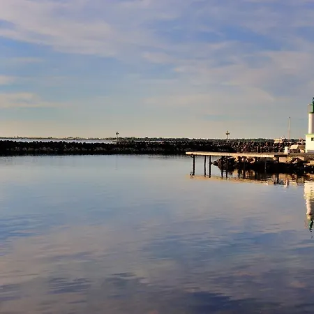 Port Rive Gauche Ostrea